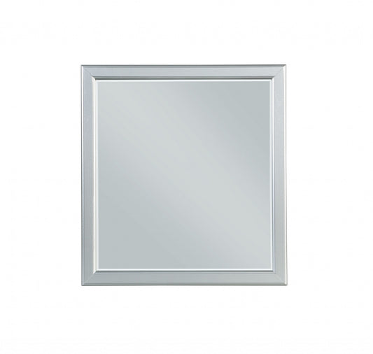 48" White Irregular Framed Mirror