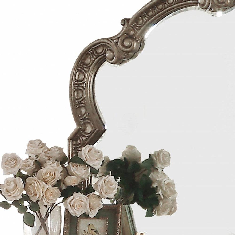 Antique Champagne Finish Baroque Style Wall Mirror - FurniFindUSA