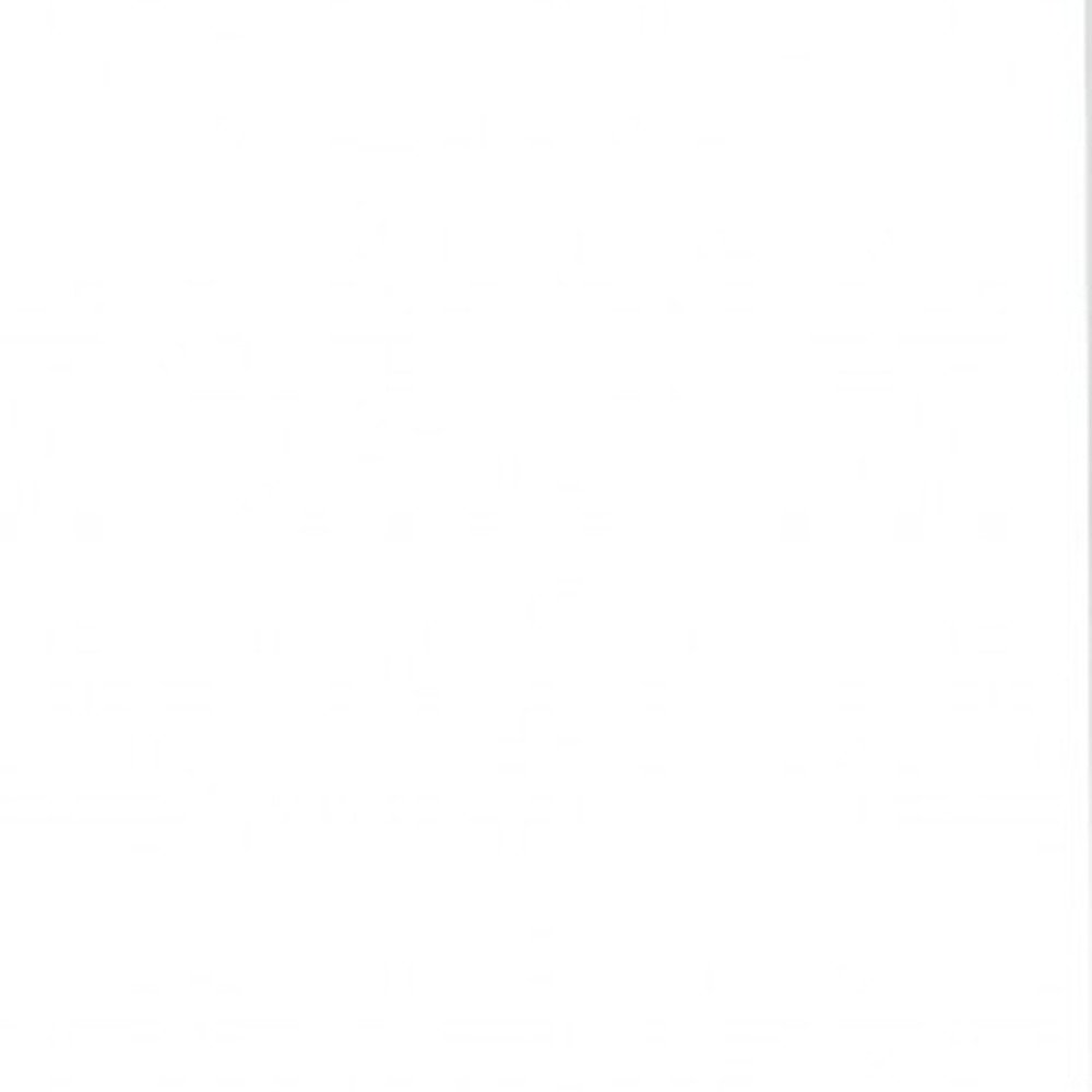 White Wood Twin Canopy Bed Frame HomeRoots