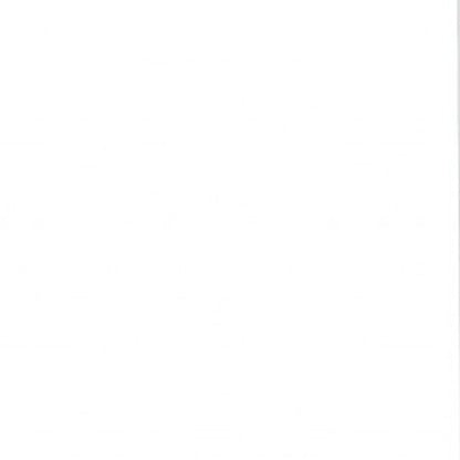 White Wood Twin Canopy Bed Frame HomeRoots