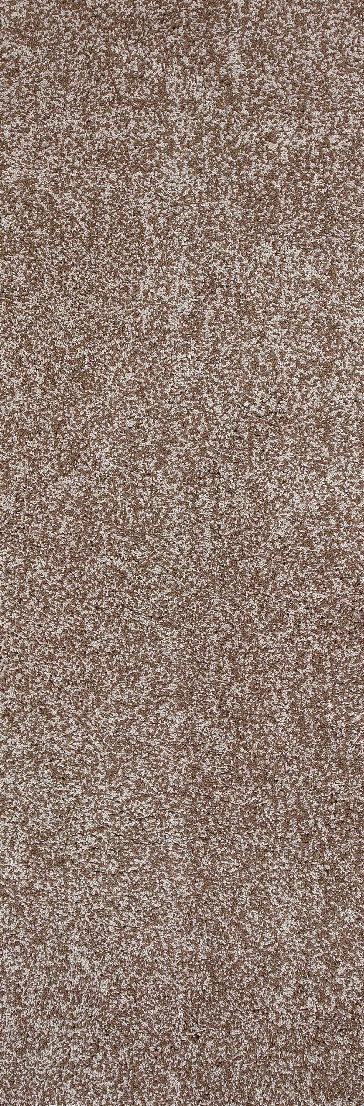 2'X4' Beige Heather Indoor Shag Rug