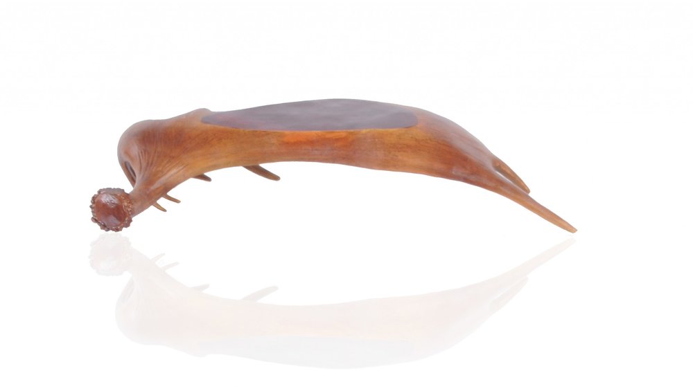 12" Brown Antler Resin Serving Tray HomeRoots