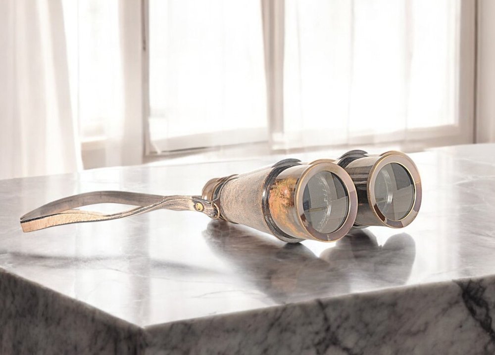 Rustic Brass And Leather Binoculars In Wood Storage Box HomeRoots