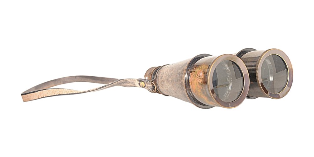 Rustic Brass And Leather Binoculars In Wood Storage Box HomeRoots