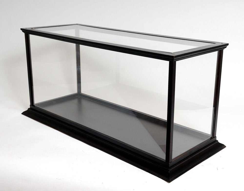 14" X 37.5" X 15" Display Case For Speed Boat HomeRoots