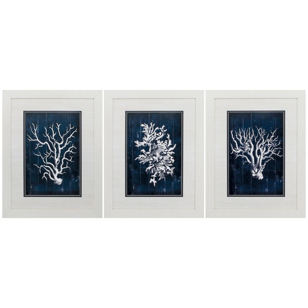 21" X 27" White Frame Wood Coral Blue (Set Of 3) — view 1