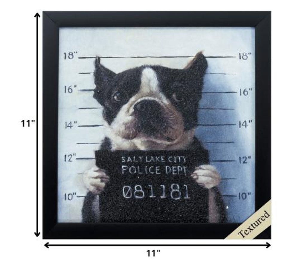 11" X 11" Black Frame Mug Shot — view 1