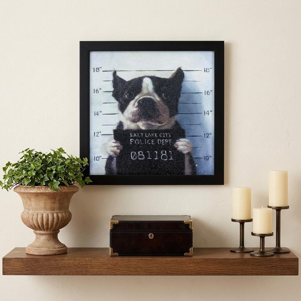 11" X 11" Black Frame Mug Shot — view 5