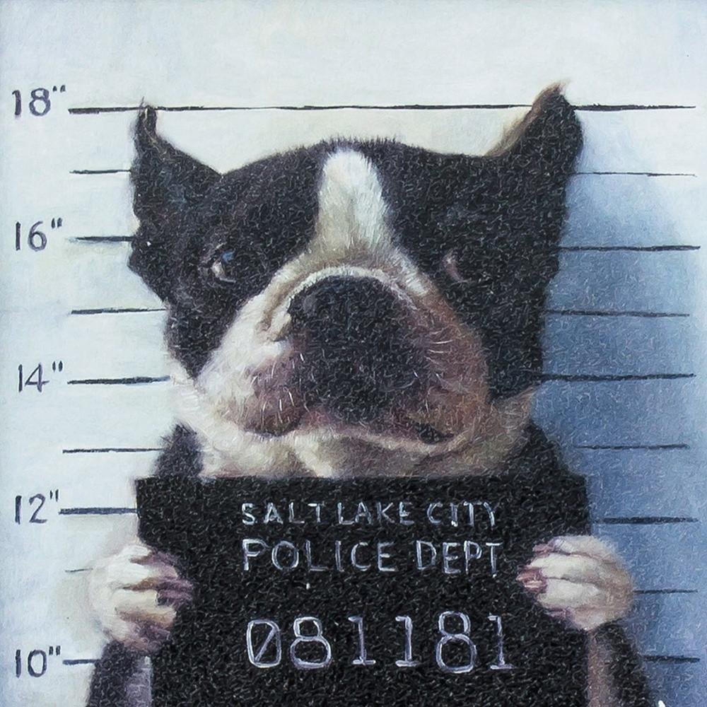 11" X 11" Black Frame Mug Shot — view 3