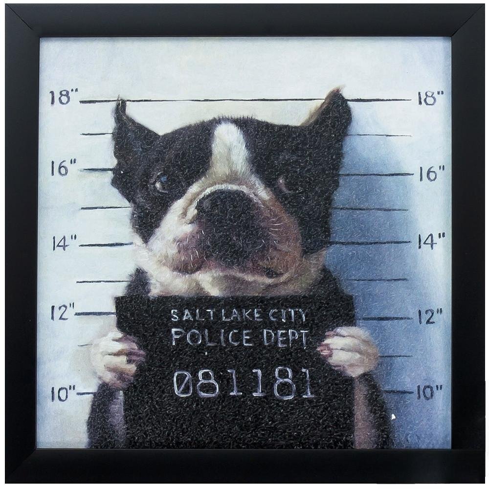 11" X 11" Black Frame Mug Shot — view 4