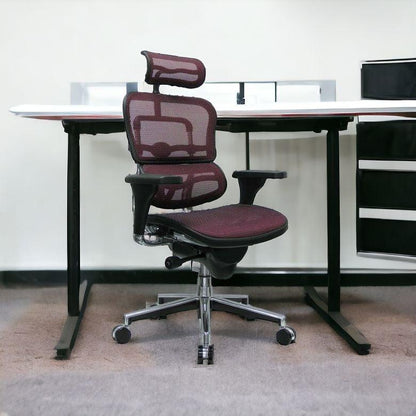 Black and Silver Adjustable Swivel Mesh Rolling Executive Office Chair - FurniFindUSA