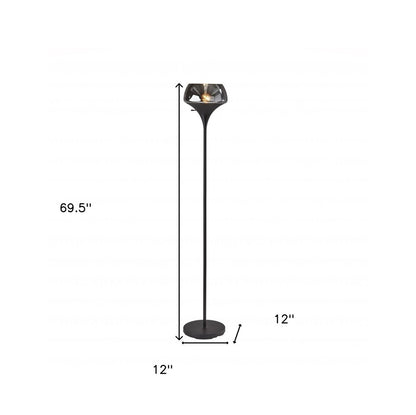 70" Black With Black Glass Shade HomeRoots