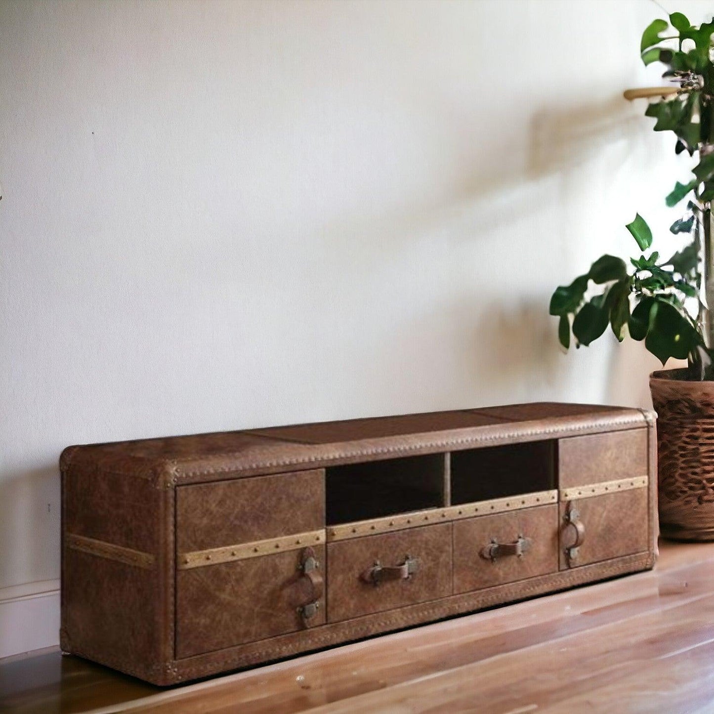 80" Brown Leather Cabinet Enclosed Storage TV Stand - FurniFindUSA