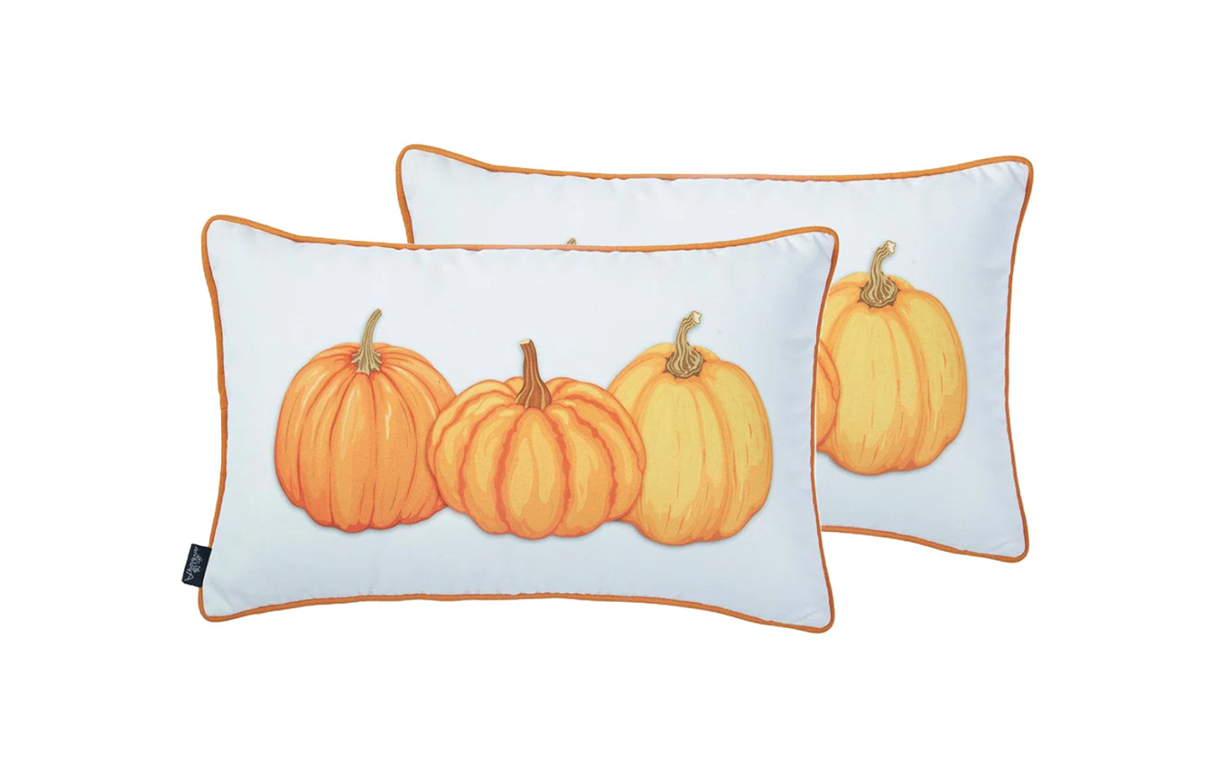 Set Of 2 20" Thanksgiving Pumpkin Throw Pillow Cover In Multicolor FurniFindUSA