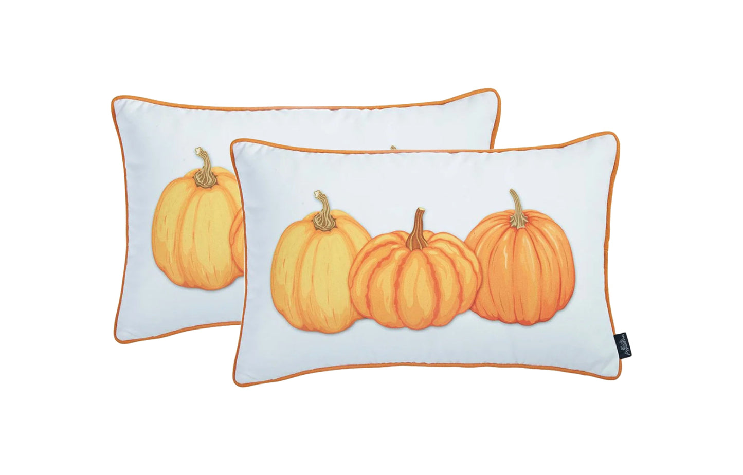 Set Of 2 20" Thanksgiving Pumpkin Throw Pillow Cover In Multicolor FurniFindUSA