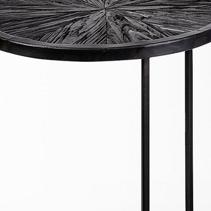 Set of Two 20" Black Round End Table HomeRoots