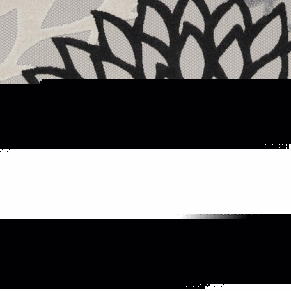 4' X 6' Black And White Indoor Outdoor Area Rug — view 69