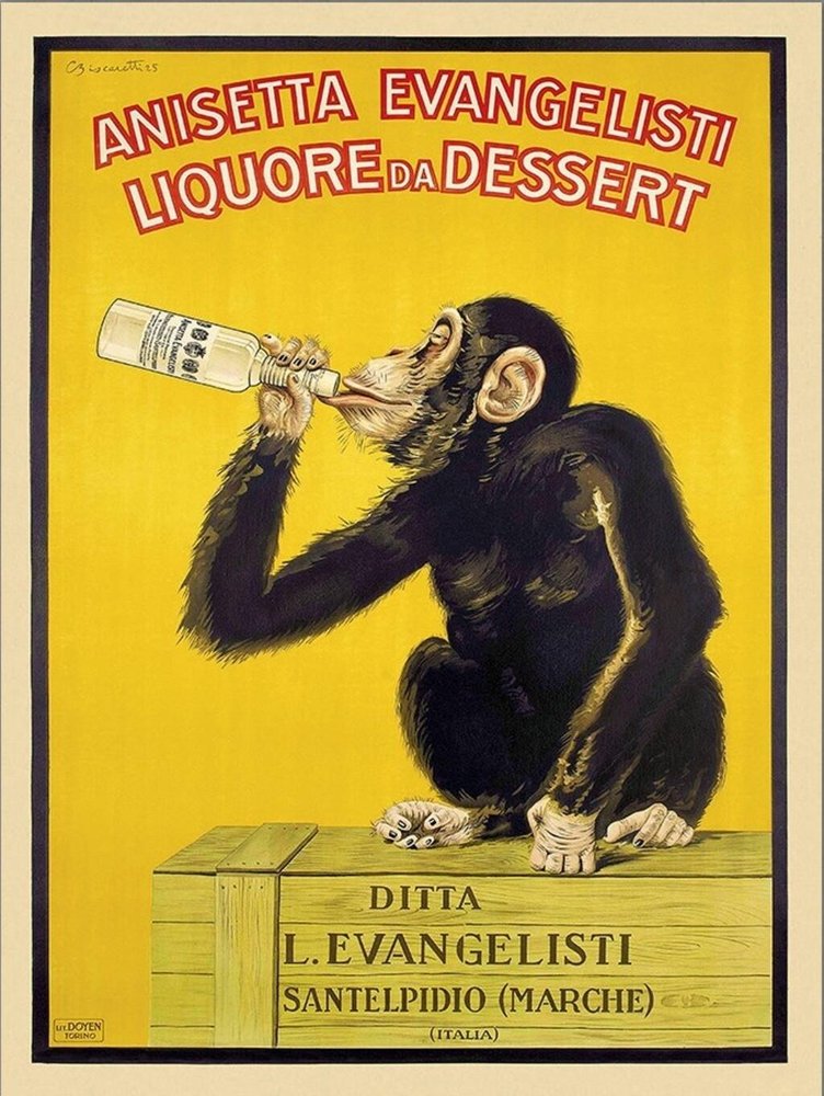 Anisetta Evangelisti Italian Liquor Unframed Print Wall Art — view 11