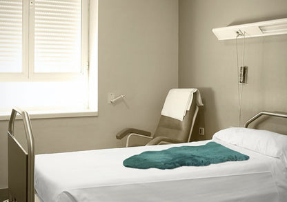 Emerald Faux Fur Solid Color Plush Throw HomeRoots