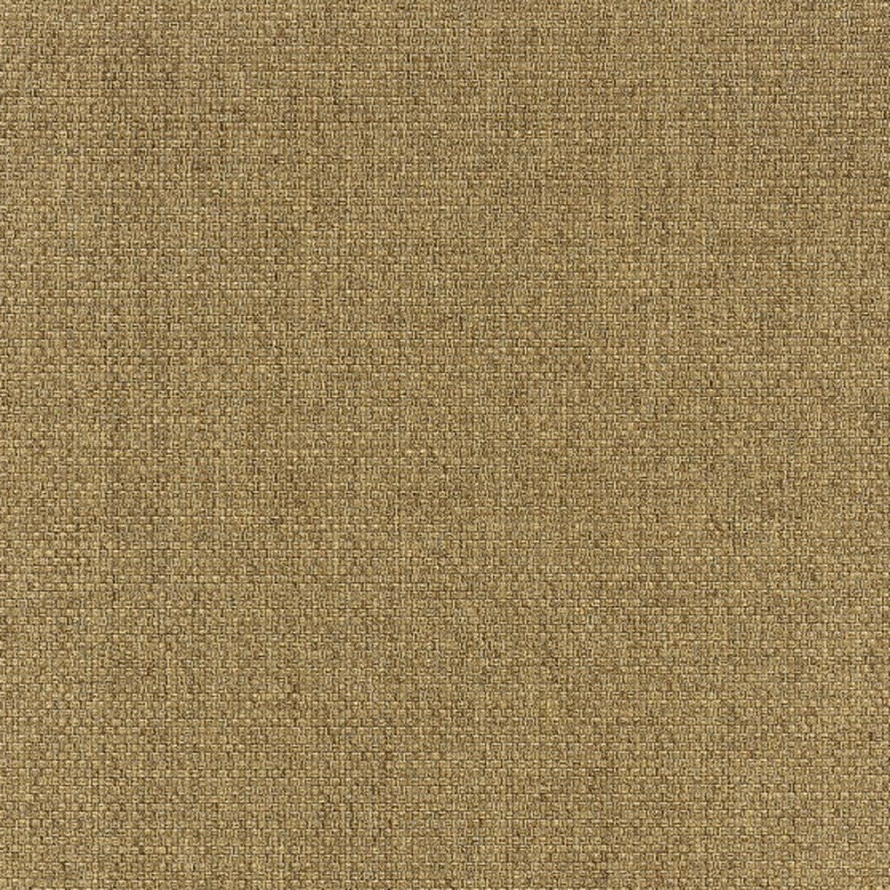 4' x 6' Tan Indoor Outdoor Area Rug