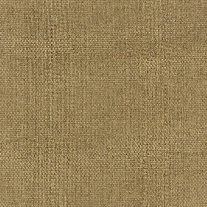 4' x 6' Tan Indoor Outdoor Area Rug