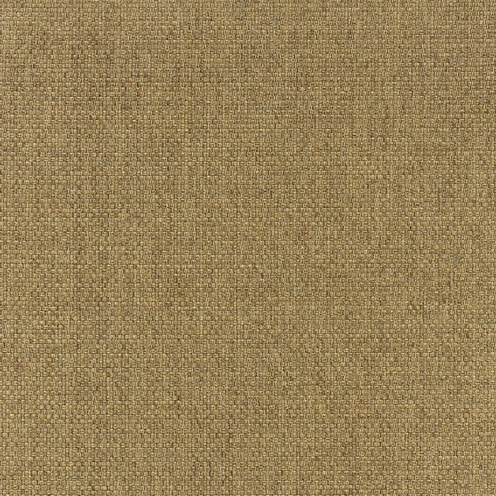 4' x 6' Tan Indoor Outdoor Area Rug