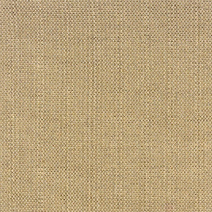 2' X 8' Beige Indoor Outdoor Area Rug - FurniFindUSA