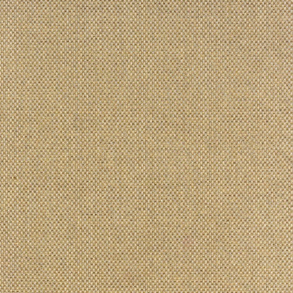 2' X 8' Beige Indoor Outdoor Area Rug