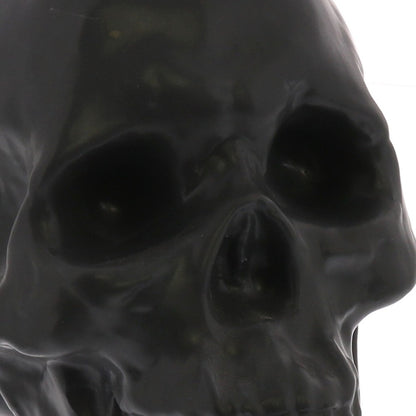 Black Ceramic Skull Sculpture