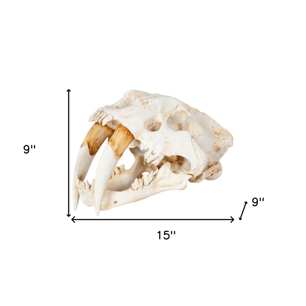 Authentic Replica Sabertooth Skull Sculpture HomeRoots