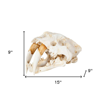 Authentic Replica Sabertooth Skull Sculpture HomeRoots