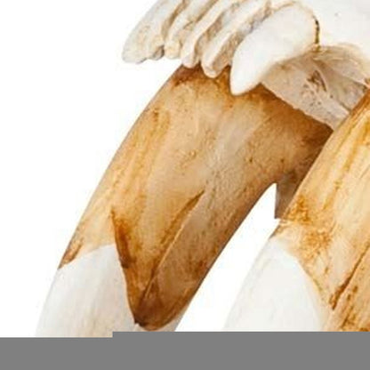 Authentic Replica Sabertooth Skull Sculpture HomeRoots