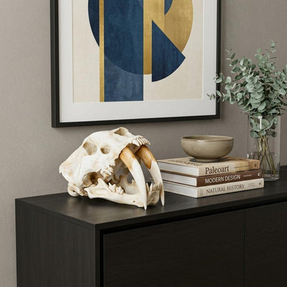 Authentic Replica Sabertooth Skull Sculpture HomeRoots