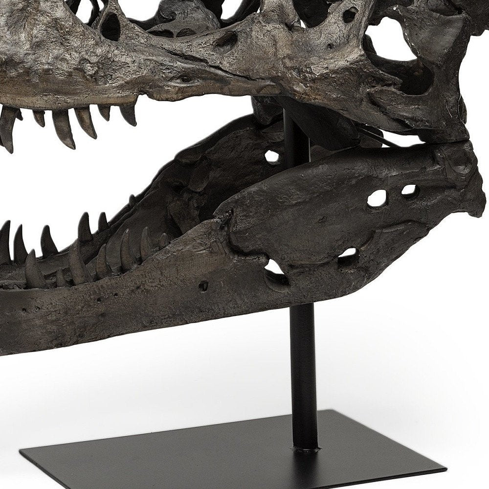 Authentic Replica T Rex Skull Sculpture — view 11