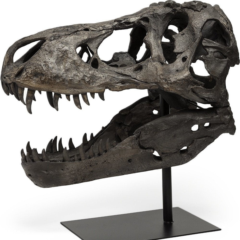 Authentic Replica T Rex Skull Sculpture HomeRoots