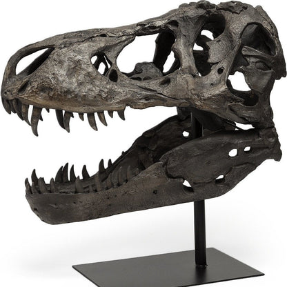 Authentic Replica T Rex Skull Sculpture HomeRoots