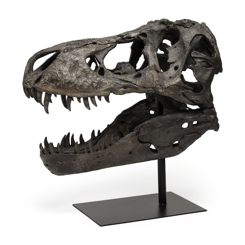 Authentic Replica T Rex Skull Sculpture HomeRoots
