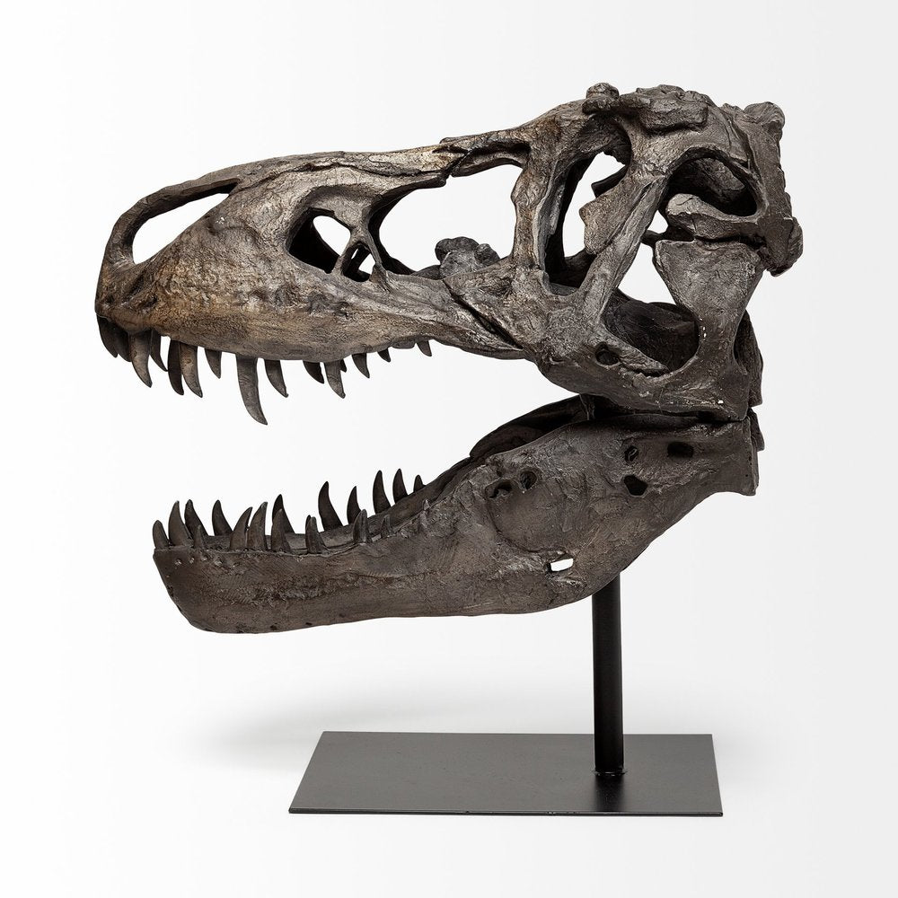 Authentic Replica T Rex Skull Sculpture HomeRoots