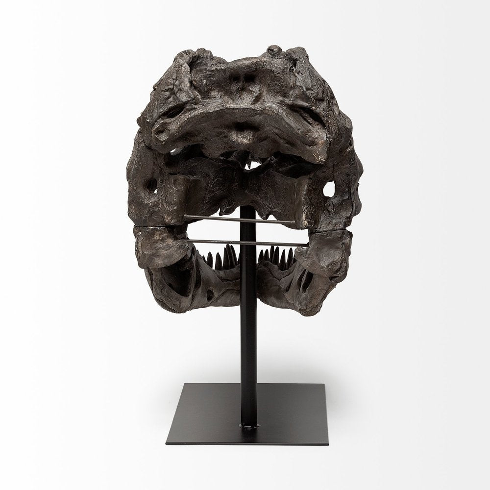 Authentic Replica T Rex Skull Sculpture HomeRoots
