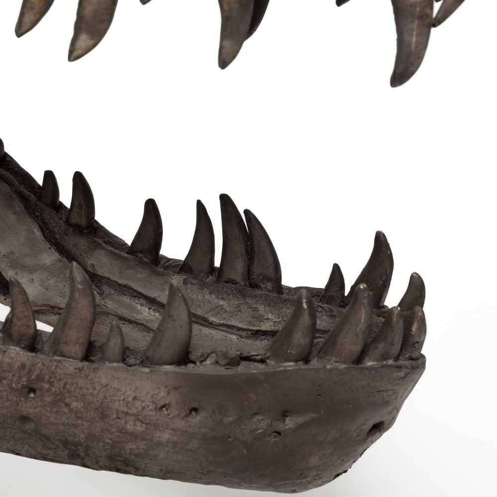 Authentic Replica T Rex Skull Sculpture HomeRoots