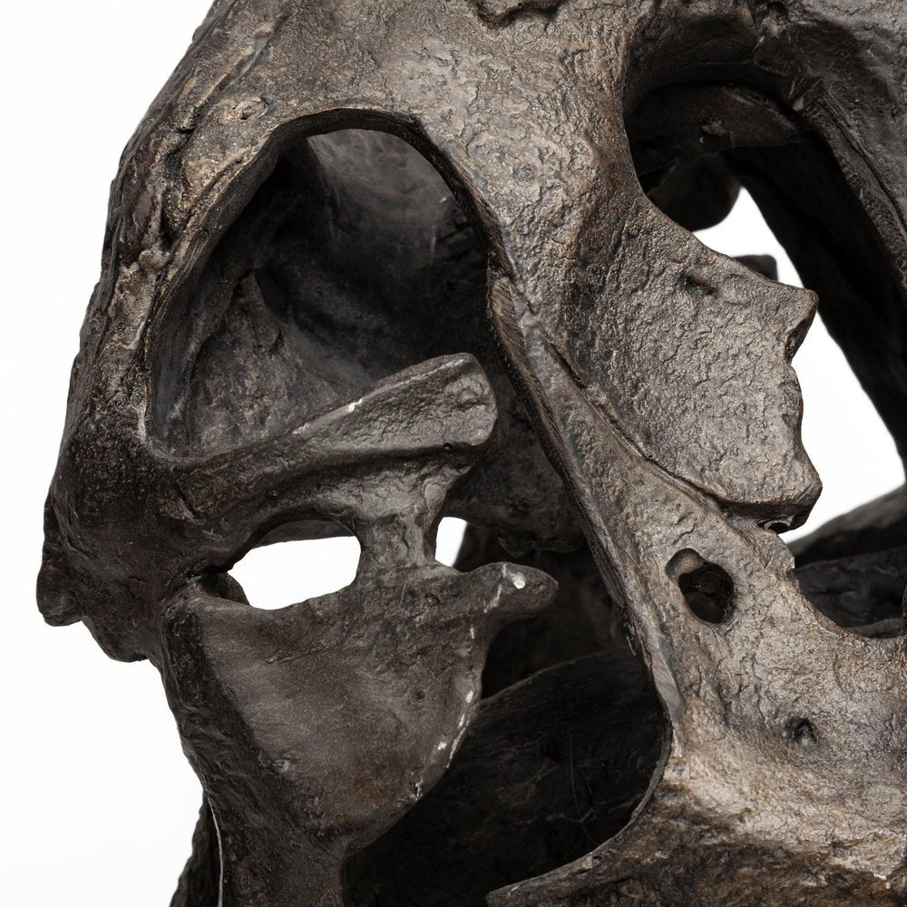 Authentic Replica T Rex Skull Sculpture — view 9