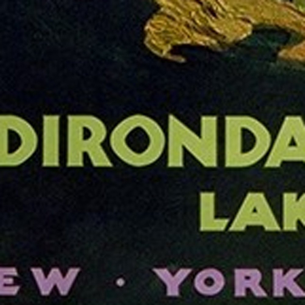 Vintage 1920S Adirondack Mountains Unframed Print Wall Art HomeRoots