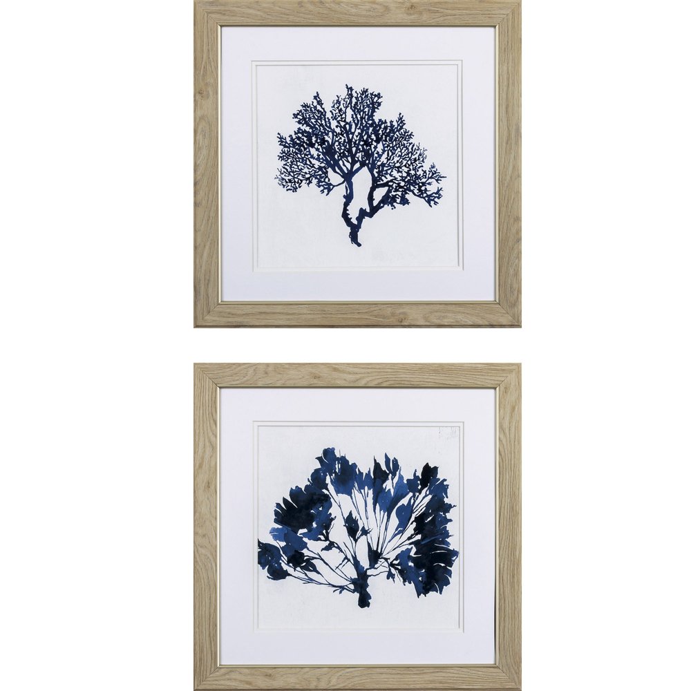 Set of Two 19" x 19" Deep Blue Sea Coral Watercolor Wall Art — view 1