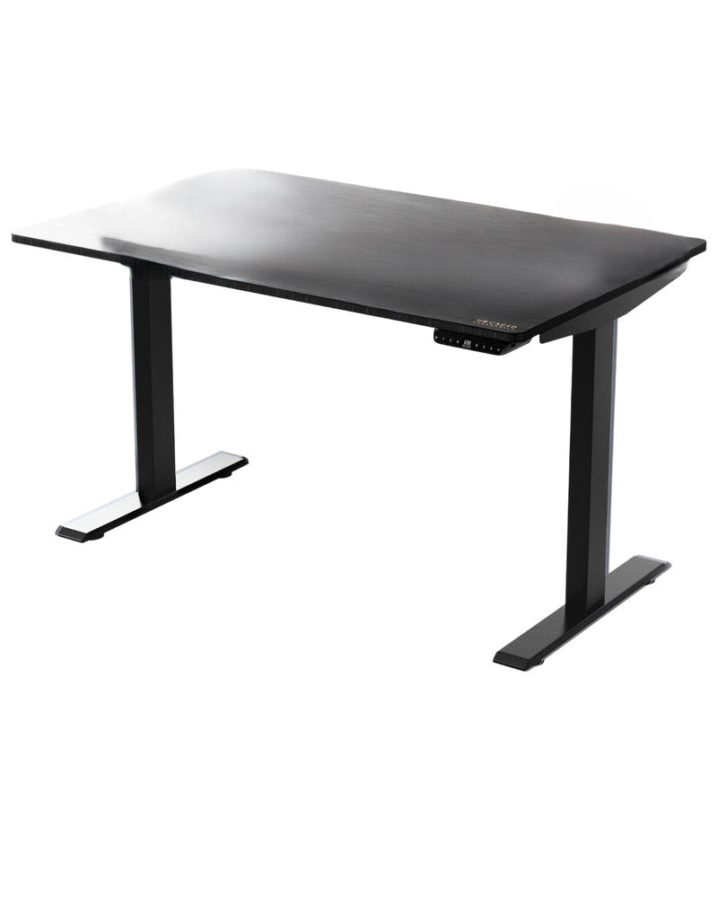 48" Adjustable Black Stainless Steel Standing Desk HomeRoots