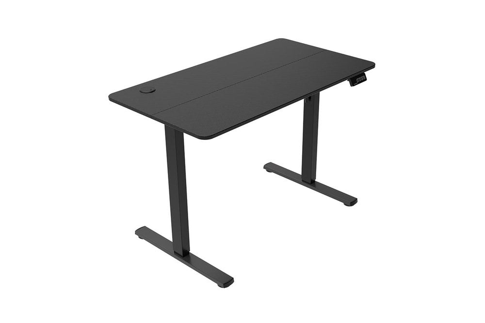 48" Adjustable Black Stainless Steel Standing Desk HomeRoots