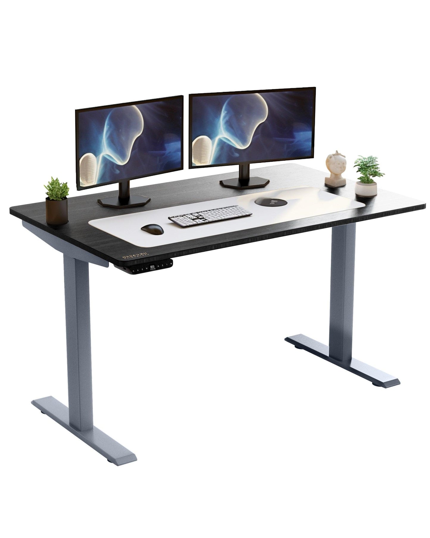 Premier Silver Dual Motor Electric Office Adjustable Standing Desk - FurniFindUSA