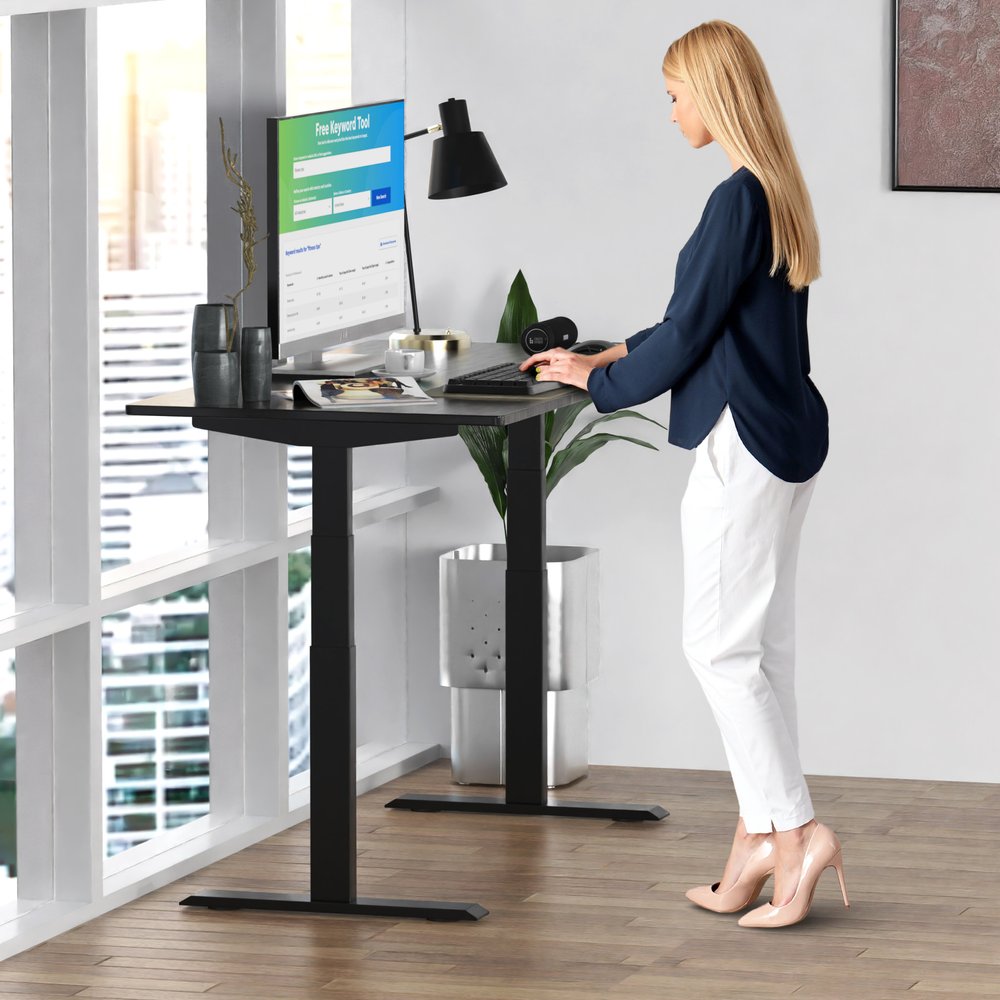 Black on Black 52" Bamboo Dual Motor Electric Office Adjustable Computer Desk HomeRoots