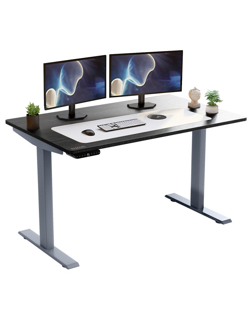 Adjustable Black and Gray Stainless Steel Rolling Computer Desk HomeRoots