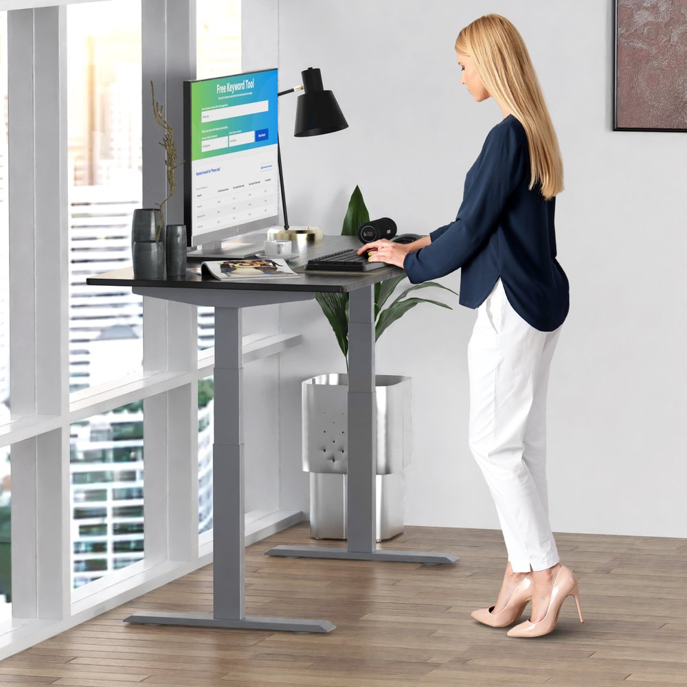 Adjustable Black and Gray Stainless Steel Rolling Computer Desk HomeRoots