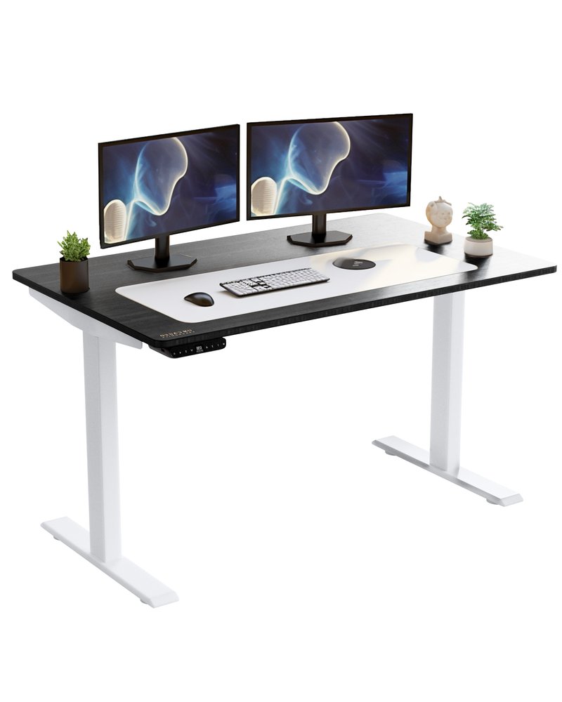 White and Black 52" Bamboo Dual Motor Electric Office Adjustable Computer Desk HomeRoots